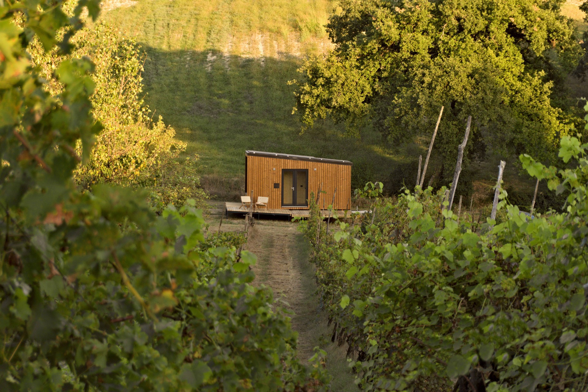 Paesaggio circostante la tiny house
